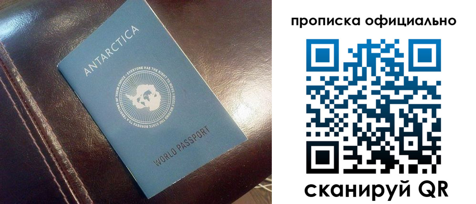 временная регистрация гарантия в Одинцово